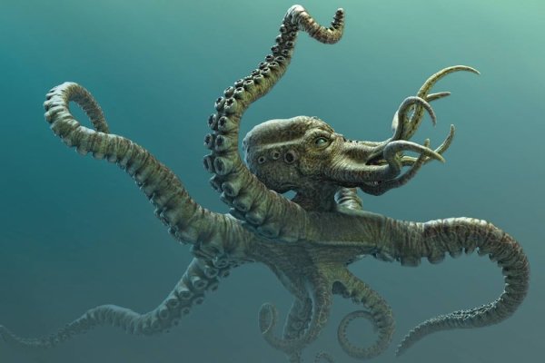 Kraken вход и ссылки