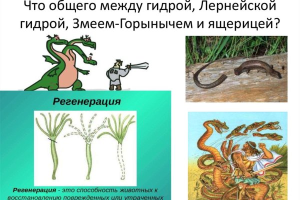 Ссылка на сайт кракен в тор