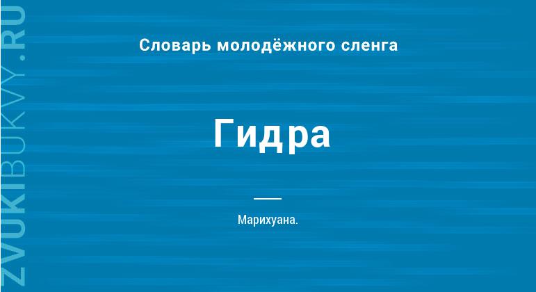 Кракен шеринг
