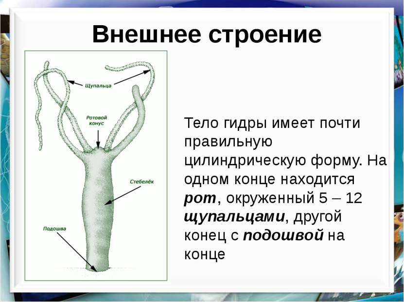 Как зайти на площадку кракен